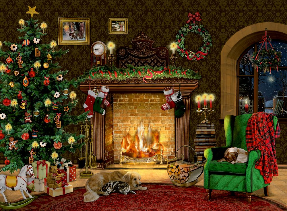 4050003955995_1920x1920