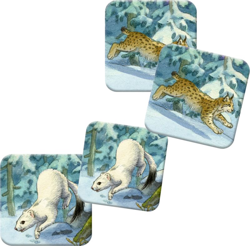 4050003958415_3_800x800